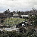 카페토리 | 제주 한림 귤밭 카페 귤한가:) 감귤체험 고양이 토리가 반겨주는 따듯한 조식 후기