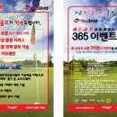 비레드 Daum카페
