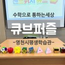 수성구 평생학습관 | 수학적 사고력을 키우는 큐브퍼즐 수업 후기! 영천시 평생학습관 어린이특강 | 수학으로 통하는 세상