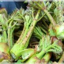 미원초등학교 이미지