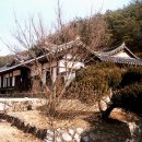 탁청정종택