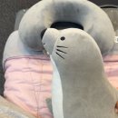 연제구청(신리삼거리 방면) | 부산연산동피부관리 잘하는 채움뷰티에서 속눈썹펌 하고왔어요