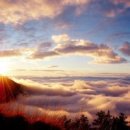 ﻿ 지금 이대로가 좋다 이미지