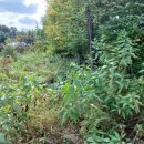 중광농장 이미지