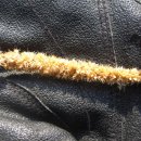 서부대로 이미지