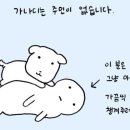 날안 이미지