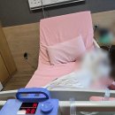 아름삼계탕 | 신도림 아름제일산부인과 1인실 입원기