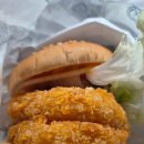 뚱s밥버거 | 서울대 견학 갔다가 먹은 버거운버거 서울대점 후기