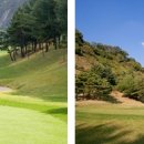 강남골프클럽 이미지