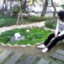 크크 이미지