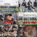 미소민박 이미지