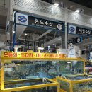 수원농수산시장 방어맛집 완도수산 내돈내산 포장후기