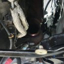 기능장카클리닉 이미지