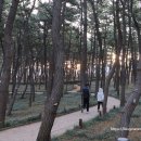 솔나무호스텔 이미지