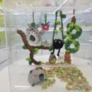 체리쉬펫 이미지