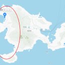 도동포차