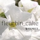 플레빈케이크