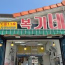 복기애견