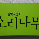나무소리음악교습소 티스토리
