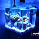 해물박사 이미지