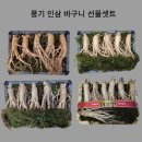 풍기환웅홍삼