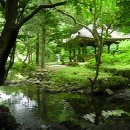 산앙정 | 보성의 정자-절경에 정자가 없으면...보성 산앙정(山仰亭)