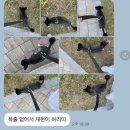 ~ 2024 04 27 :: 나한테는 더 이상 맞지 않으니까