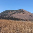 표선리-34 이미지