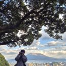 김밥천국안중현화점 | 규슈 한 바퀴 돌기 13일차 - 남국(南國)