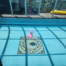 펄하우스 이미지