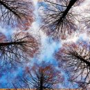 책과 글나무 이미지