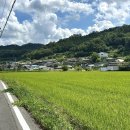 무주무손국수 이미지