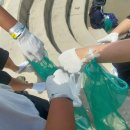 석두어촌체험마을(석두마을) | ◇함평여행 함평석두마을 꼼장어 잡기 체험 비용 시간 여름방학 체험으로 굿~~ 내돈내산 후기