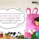 로라집 이미지