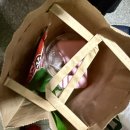 능곡초등학교 | [일산파충류샵] 크레스티드게코 다양한 모프, 아잔틱 라인업까지 완벽한 크레윙 (고양파충류샵 추천)