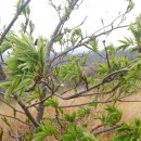 하늘농원 옆 이미지