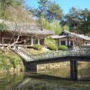 포항시북구17 이미지