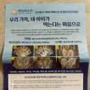 군산 생선구이 맛집 명블리수산 박대 / 반건조생선 건어물 추석 명절 선물세트 추천