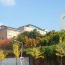 조원동-10 이미지