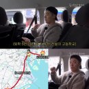 애잘린