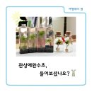 여행램프 협동조합