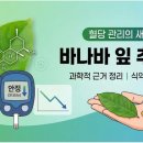 한양사료유통 | 바나바잎 추출물, 파우더보다 소프트젤이 1.5배 효과적? 효능 및 부작용, 코로솔산 함량과 고르는 법...