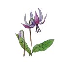 대정요양병원 이미지