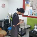 해피애견왕국 이미지