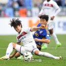 울산대파 이미지