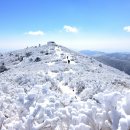 상담주차장 - 좌 이미지