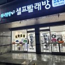 워시팡팡 네이버블로그