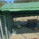 윤성(오리랑닭이랑) 이미지