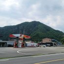 게으른 악어 이미지