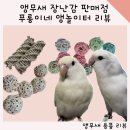 푸롱이네놀이터 이미지